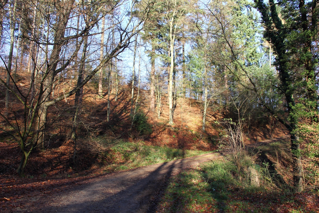 Odenwald